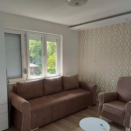 Feniks Plijeskovo